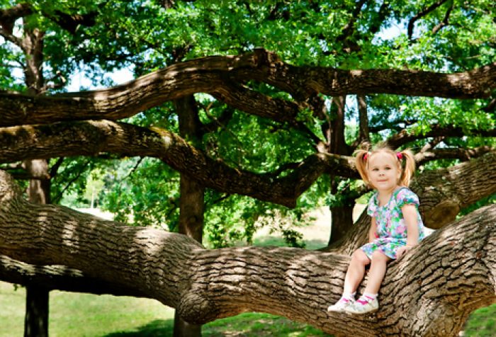 Маленькая девочка на ветви большого дерева