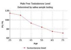testosteron_graph