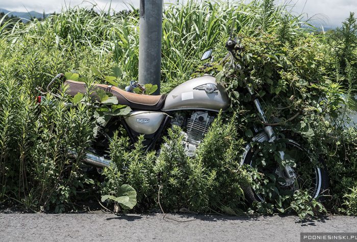 Фукусима -- мотоцикл среди зелене