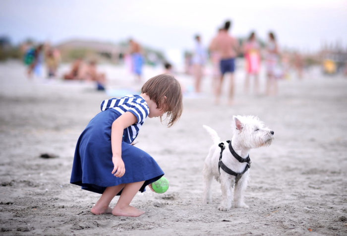 Девочка у моря играет в песке с собакой породы вест хайленд уайт терьер